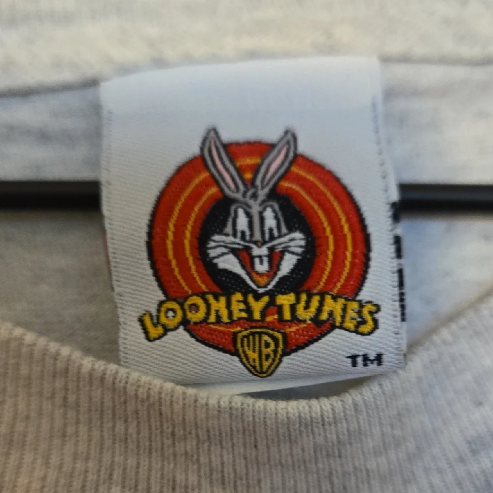 Vtg 90s Looney Tunes Mens XL Tazmanian Devil Snowboard Air‎ Long Sleeve T-S